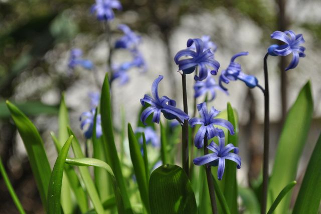 31 березня 2020 – яке сьогодні свято: традиції, заборони і прикмети - фото 394912