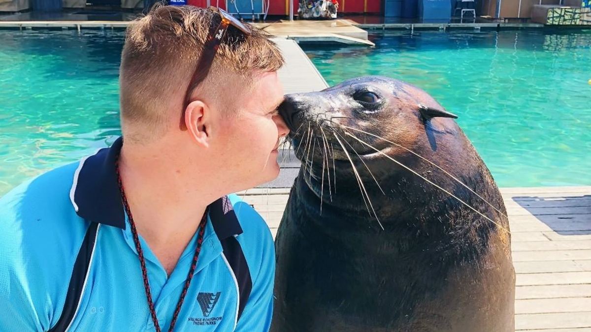 У закритому австралійському океанаріумі провели екскурсію для морського лева: відео