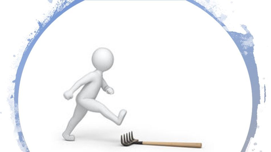 Суспільство - фото 1