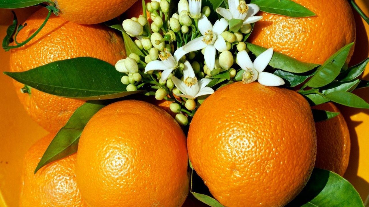 Апельсини виявилися корисними у боротьбі із зайвою вагою
