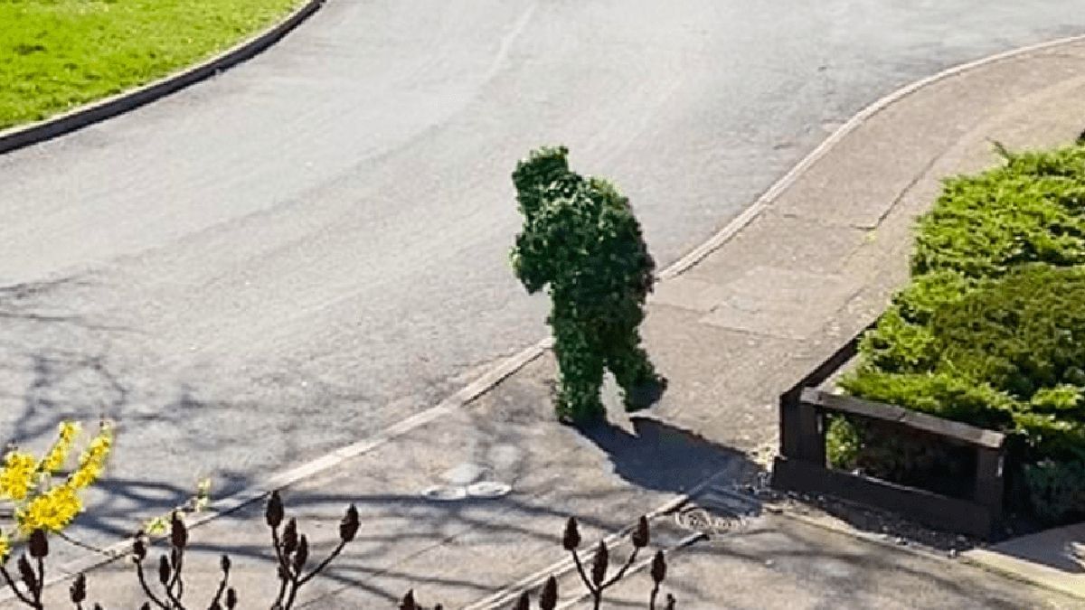 Чоловік у костюмі куща зухвало порушив карантин: відео