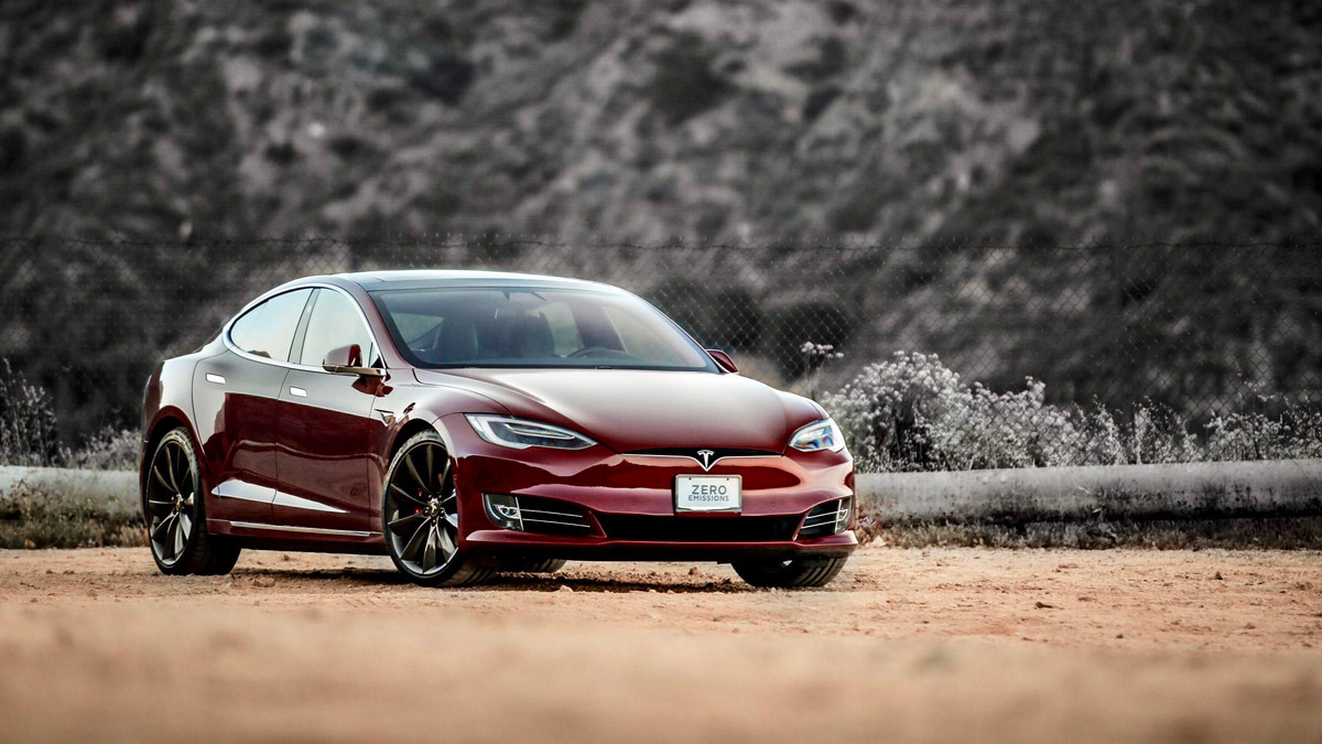 Tesla Model S поборовся з конем - фото 1