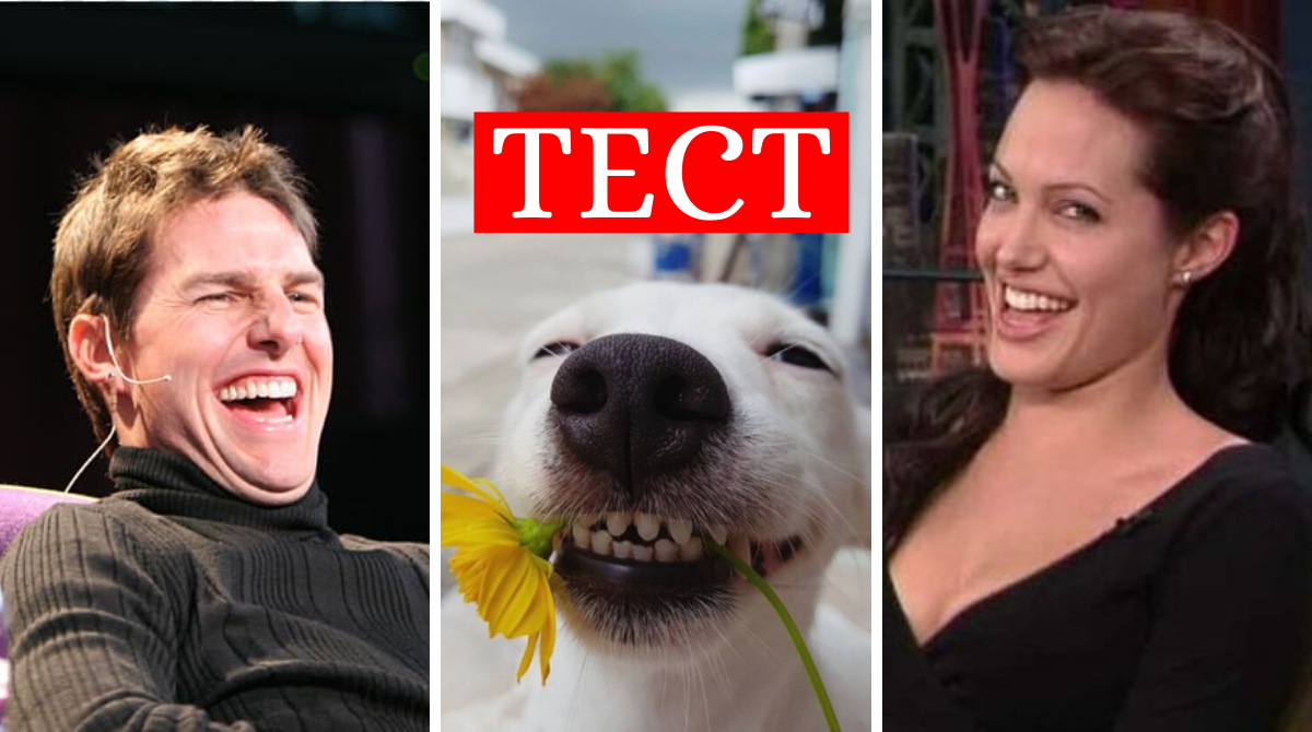 тест на почуття гумору - фото 1