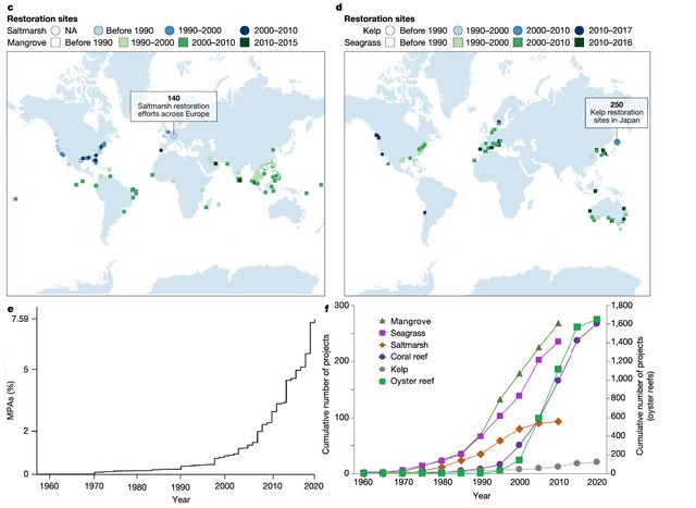 Науковці розповіли, за скільки часу можна відновити екосистему океанів - фото 395688