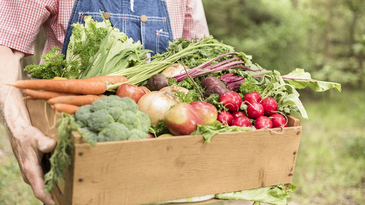 Овочі і схуднення - фото 1