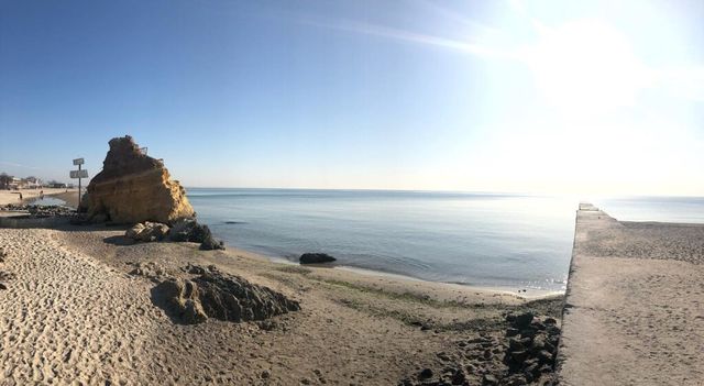 Як виглядають пляжі Одеси під час карантину - фото 395827