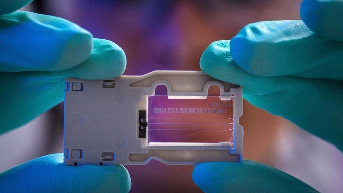 Новини про коронавірус в Україні: останні дані про хворих на 4 квітня