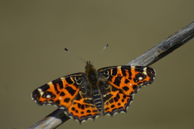 9 квітня 2020 – яке сьогодні свято: традиції, заборони і прикмети - фото 396312