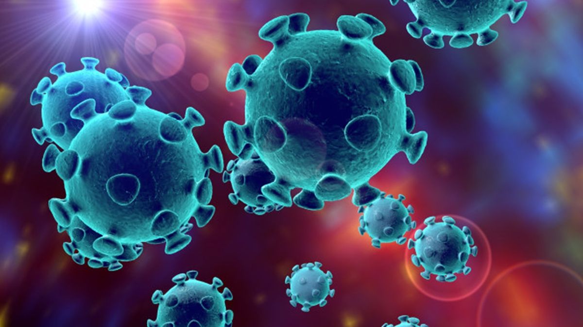 Як коронавірус атакує людські клітини - фото 1