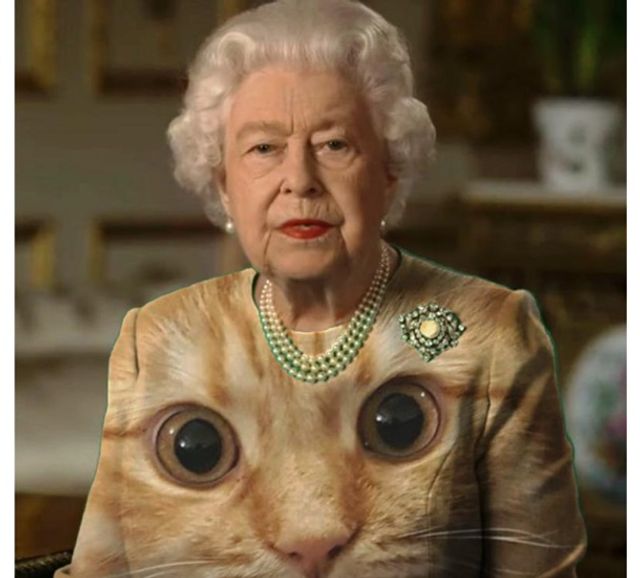 Єлизавету II перетворили на новий мем - фото 396701