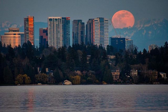Рожевий супермісяць з'явився на небі: дивіться фото унікального явища - фото 396760
