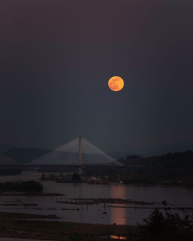 Рожевий супермісяць з'явився на небі: дивіться фото унікального явища - фото 396767