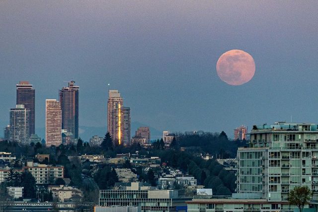 Рожевий супермісяць з'явився на небі: дивіться фото унікального явища - фото 396769