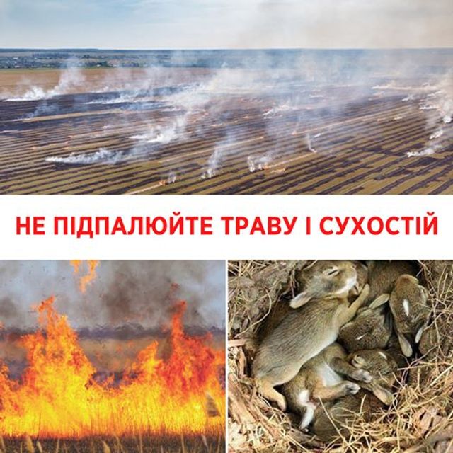 Чому не можна спалювати суху траву навесні: пояснення Супрун - фото 396982