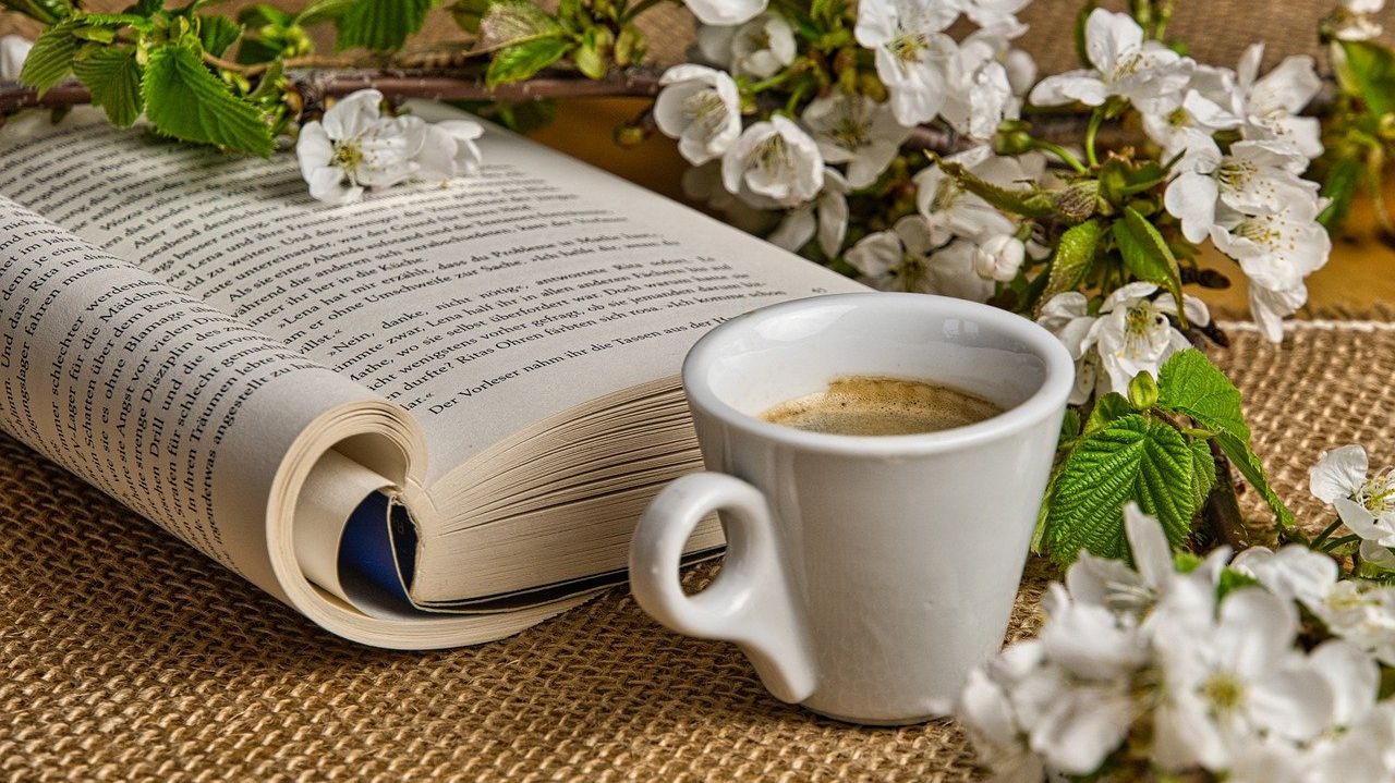 5 нових книг зарубіжної прози, які ви прочитаєте на одному подиху