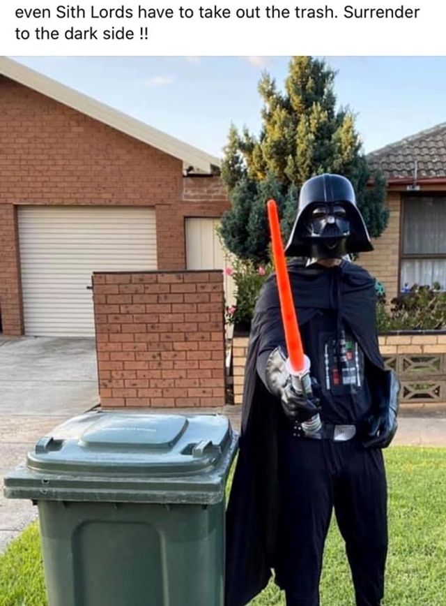 Австралійці влаштували флешмоб-маскарад біля сміттєвого бака - фото 397112