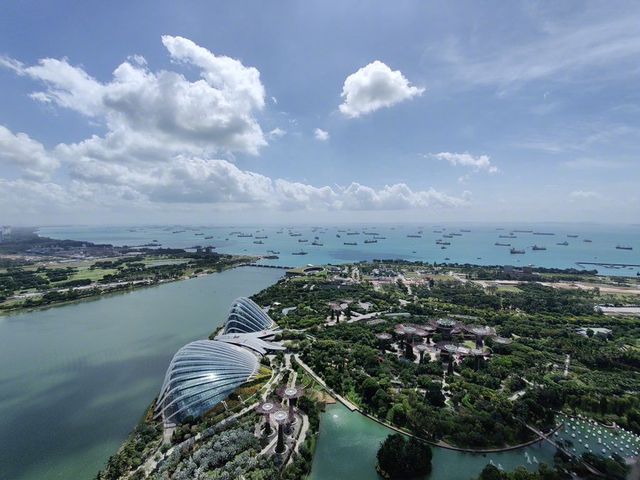 У мережі з'явилися перші фото, зняті на OnePlus 8 Pro - фото 397149