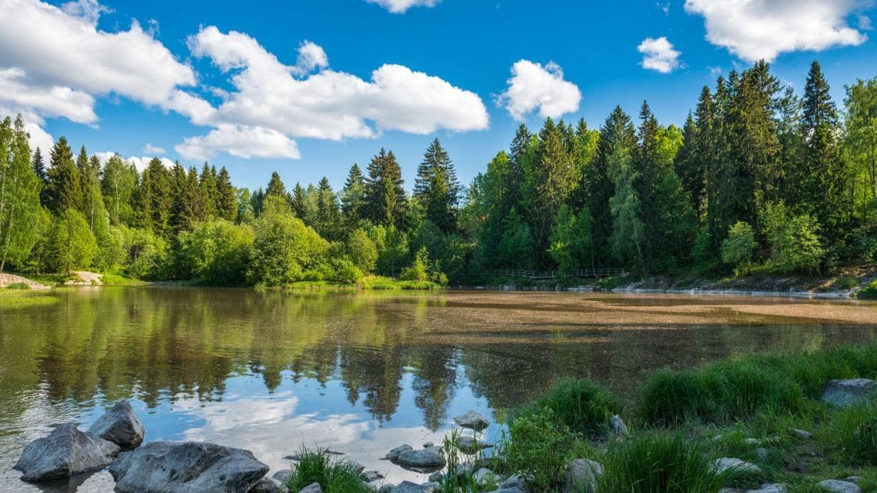 Знімки з космосу показали очищене повітря через карантин