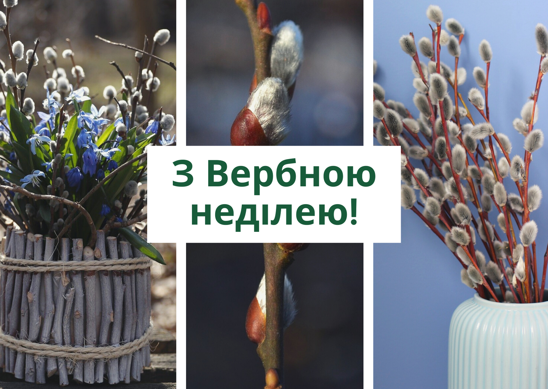 З Вербною неділею 2025: привітання у прозі і побажання своїми словами