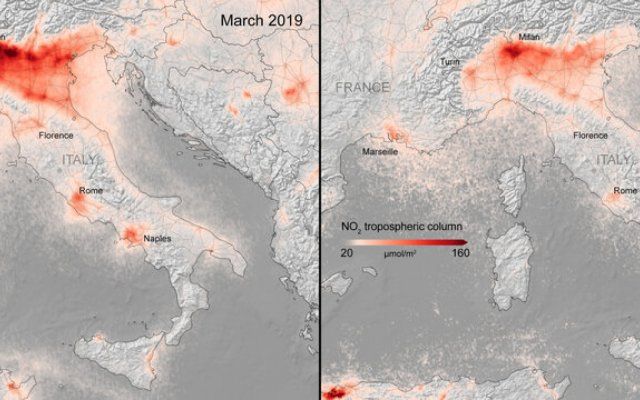 Позитивні новини тижня: від цвітіння магнолій до народження панд - фото 397496