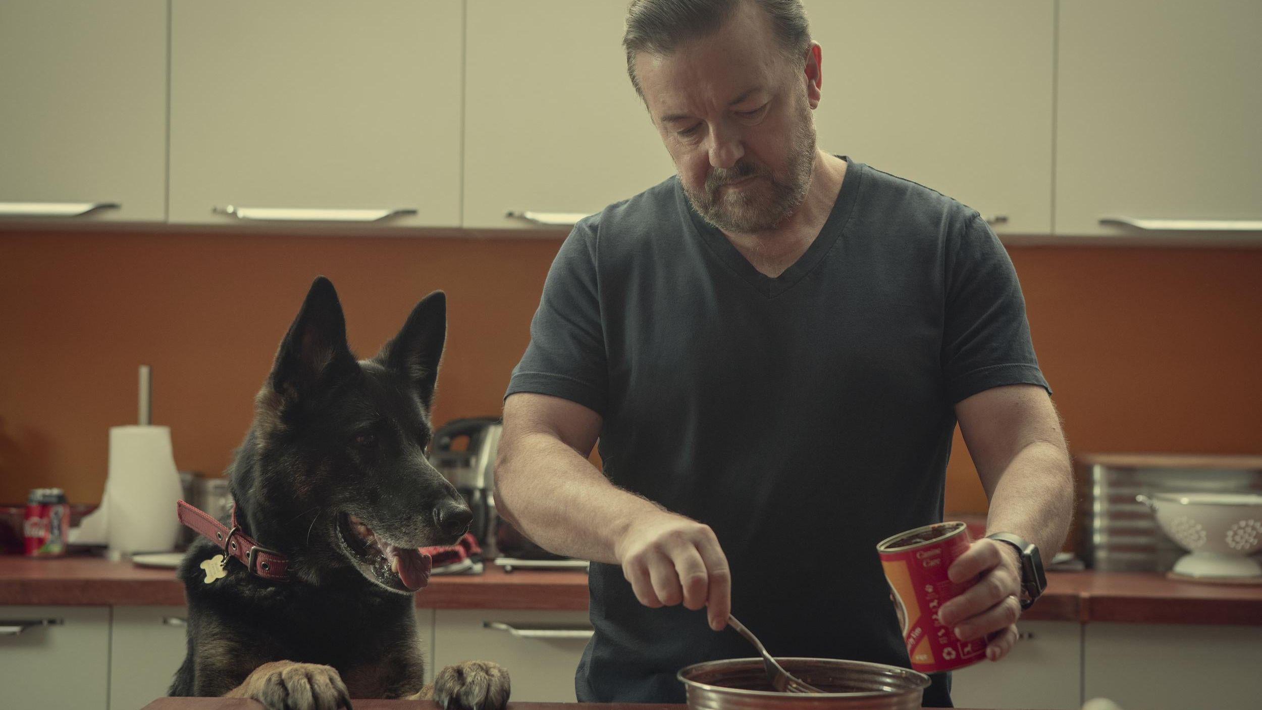 Після життя: дивіться трейлер другого сезону серіалу