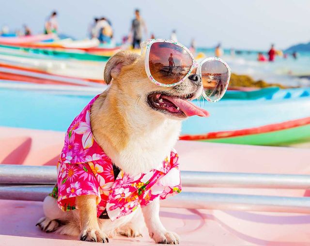 Мандрівка- фото 397775