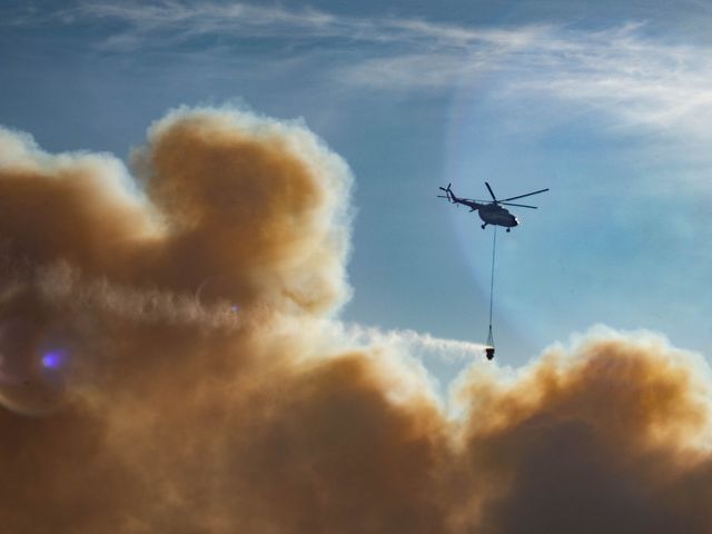 Пожежа в Чорнобильській зоні: останні новини та фото з епіцентру подій - фото 397852