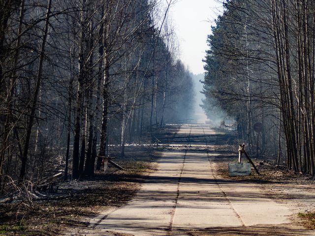 Пожежа в Чорнобильській зоні: останні новини та фото з епіцентру подій - фото 397859