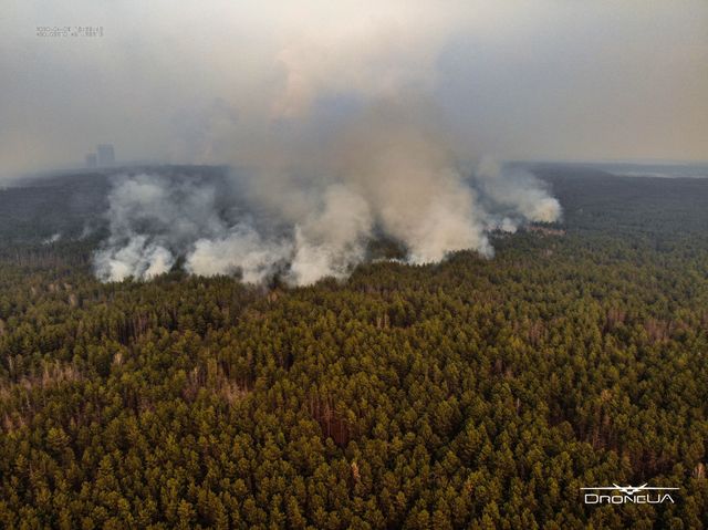 Пожежа в Чорнобильській зоні: останні новини та фото з епіцентру подій - фото 397861