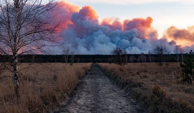 Пожежа в Чорнобильській зоні: останні новини та фото з епіцентру подій - фото 397863