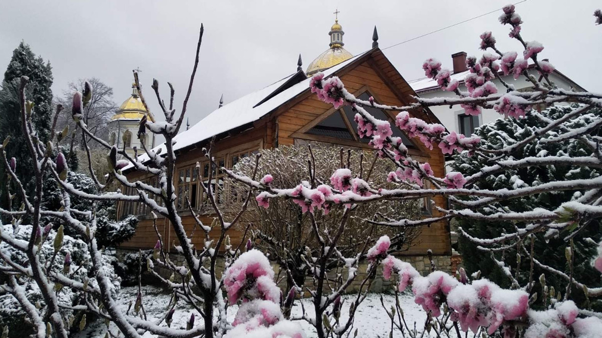 На Прикарпатті справжня зима посеред квітня - фото 1