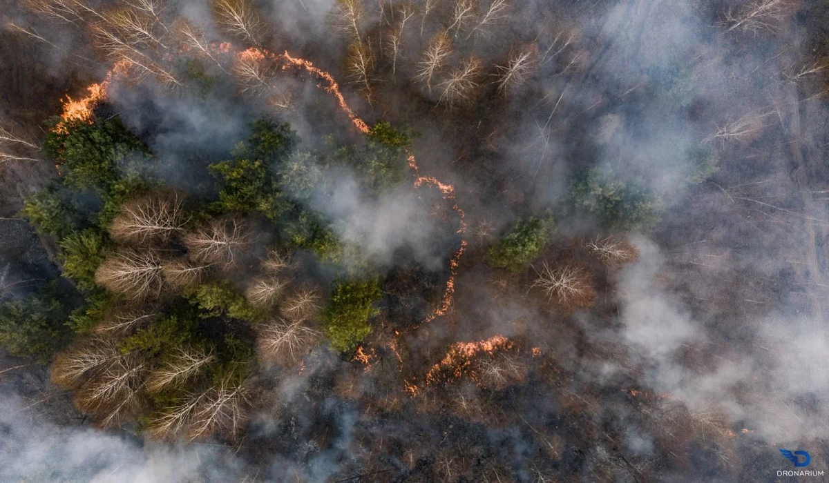 Вогонь у Чорнобильській зоні затих - фото 1