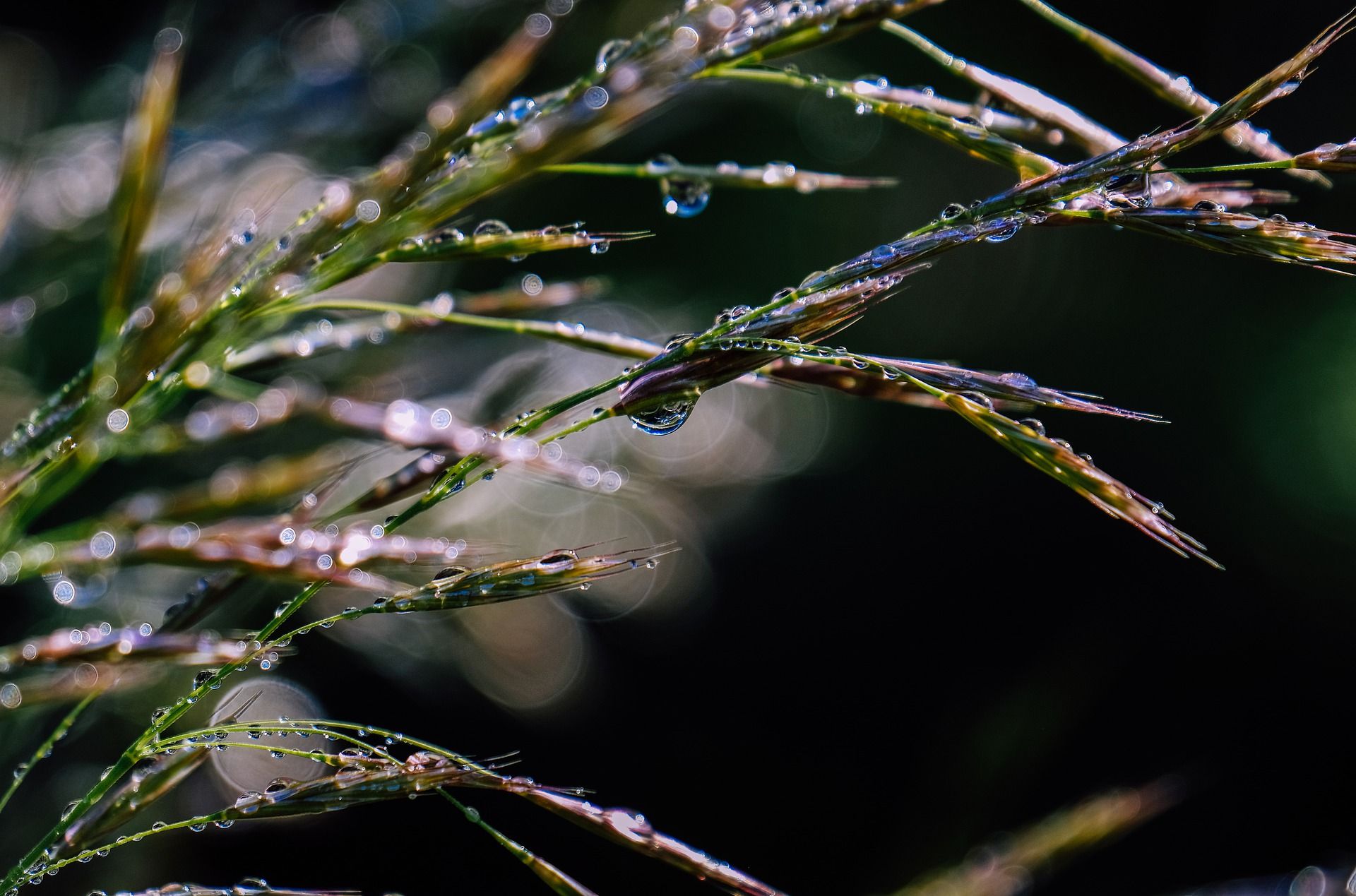 Погода в Україні 15 квітня: у яких областях пройдуть дощі