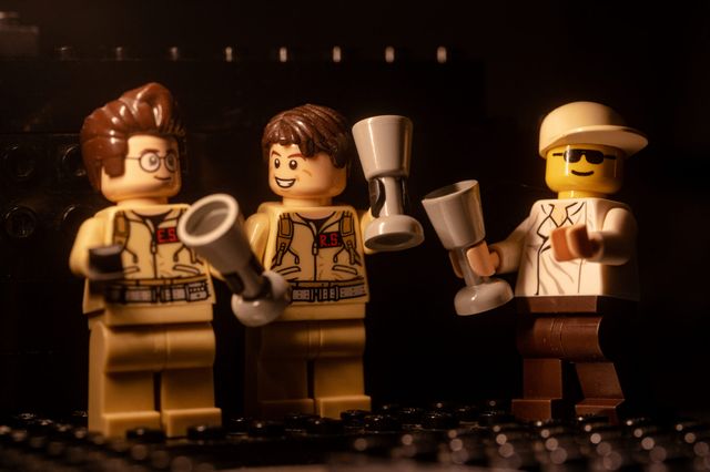 Карантин – не завада: весільний фотограф зробив фотосесію для Lego-молодят - фото 398111