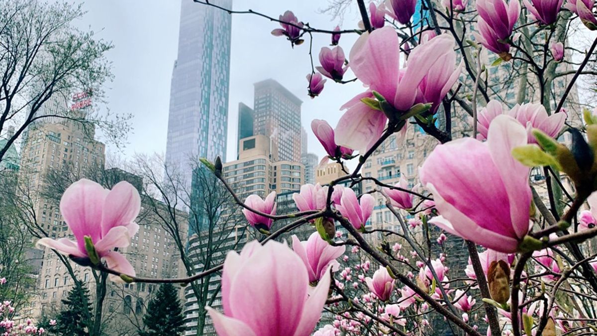 Березень 2020 року став другим найтеплішим на планеті - фото 1