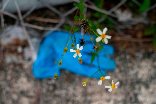 Засоби захисту забруднюють довкілля - фото 398281