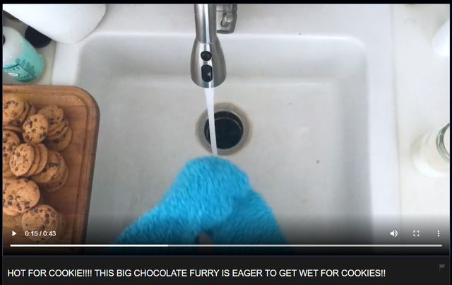 Pornhub запустив новий сайт з дуже брудними відео - фото 398402