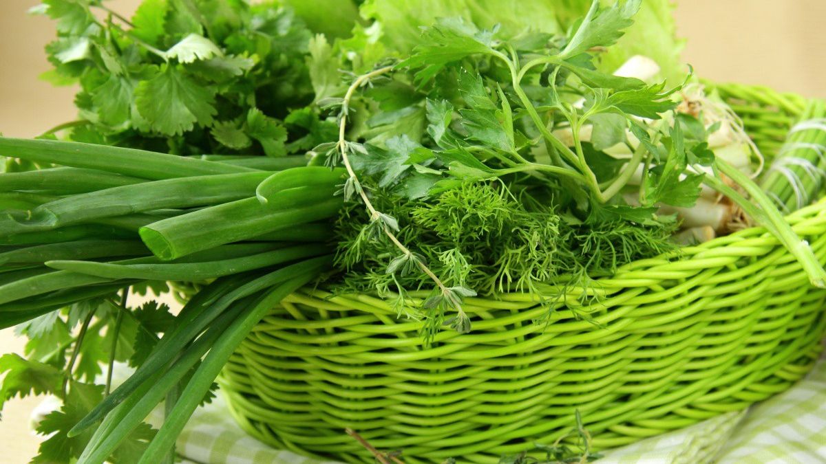 Дієтологи назвали найкориснішу весняну зелень