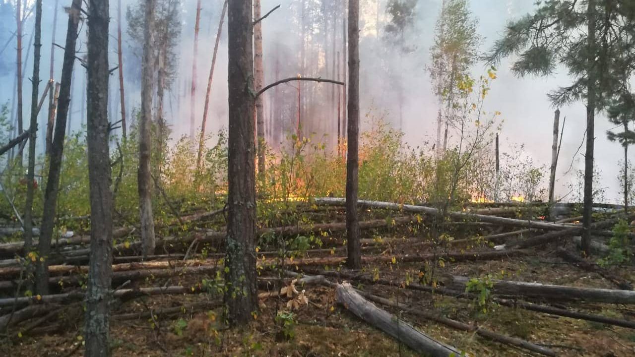 Мережу вразила веселка над лісами в зоні ЧАЕС