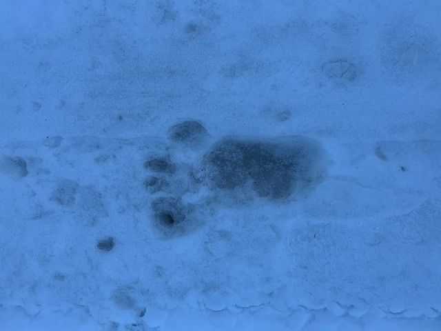 Американець застряг у місті-привиді під час пандемії: містична історія - фото 399051