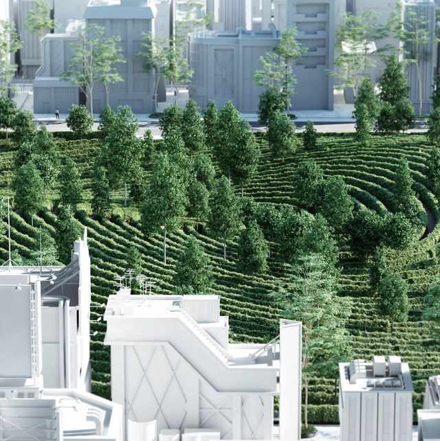 У Відні може з'явитись спеціальний 'карантинний' парк: фото - фото 399264