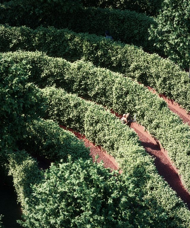 У Відні може з'явитись спеціальний 'карантинний' парк: фото - фото 399266