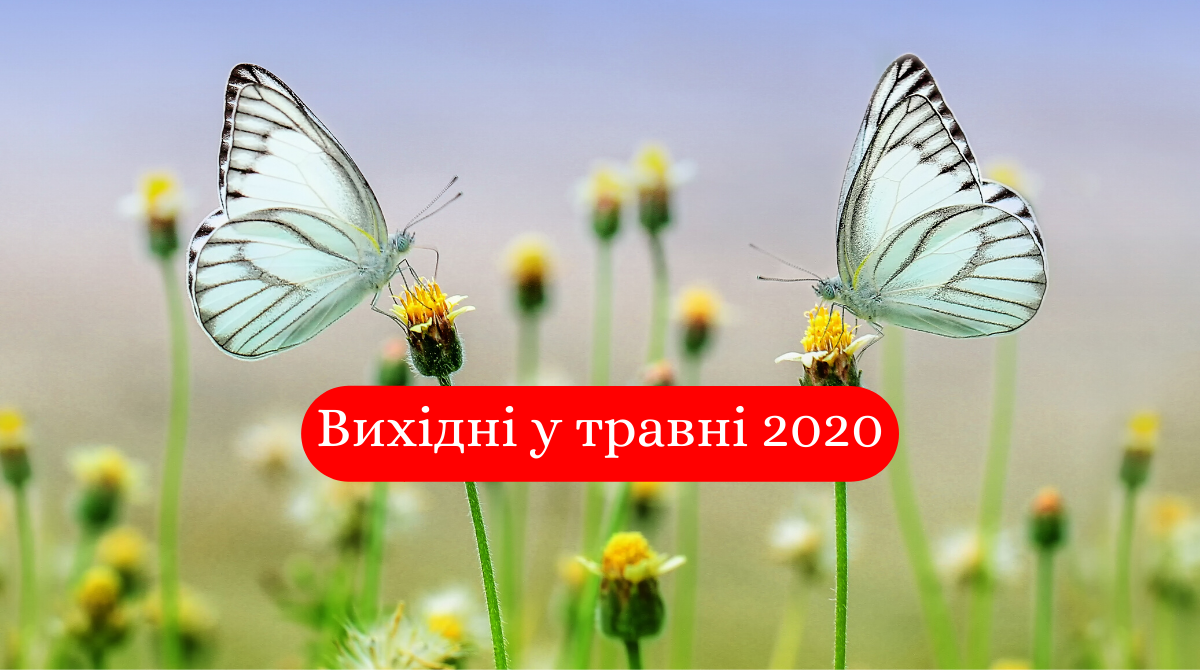 Вихідні у травні 2020: коли й скільки буде вихідних на травневі свята