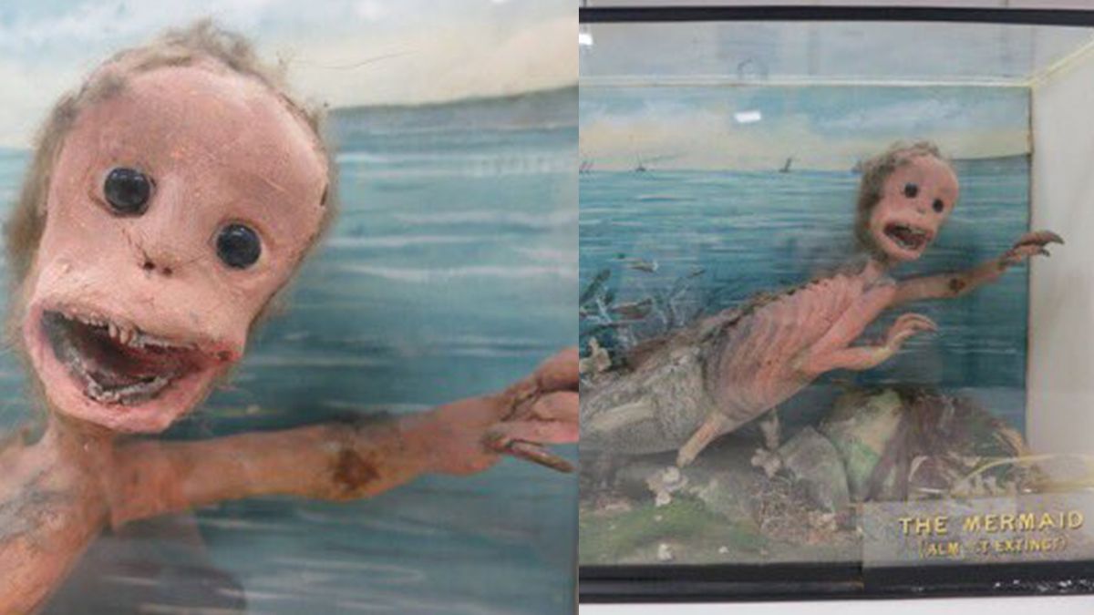 Музеї світу показали найстрашніші експонати зі своїх колекцій: кадри не для слабкодухих - фото 1