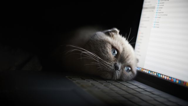 Спочатку слід визнати наявність проблеми - фото 399326