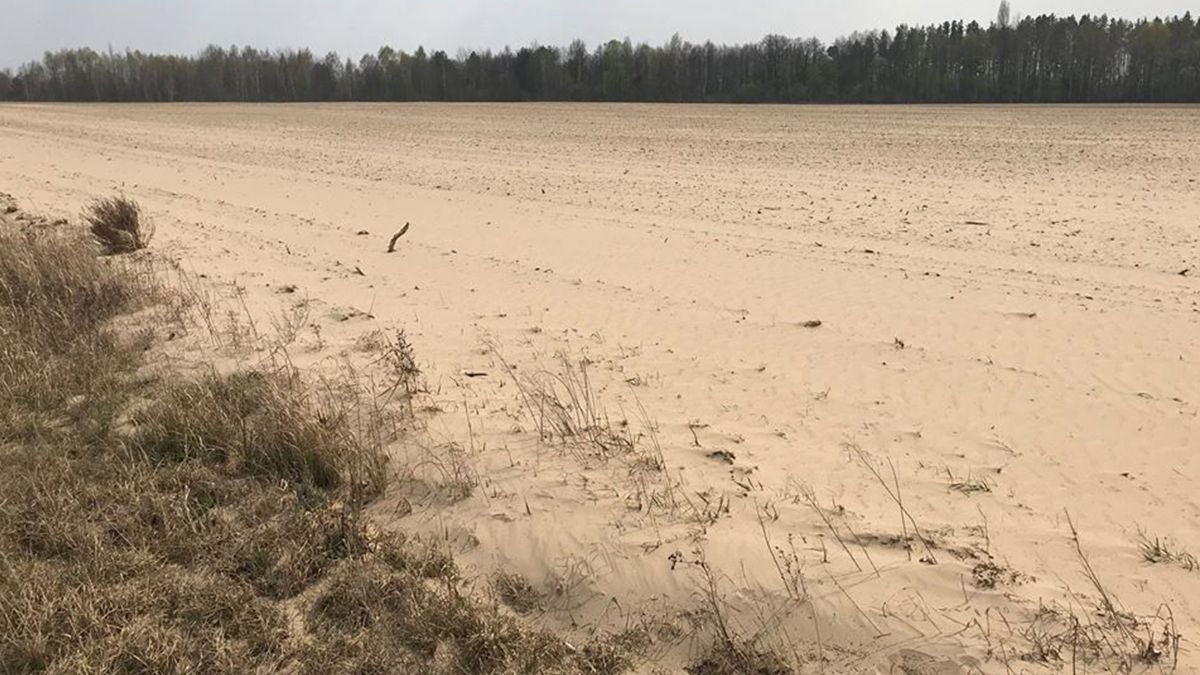 Африканська пустеля: наслідки піщаної бурі в Україні шокували мережу (відео)