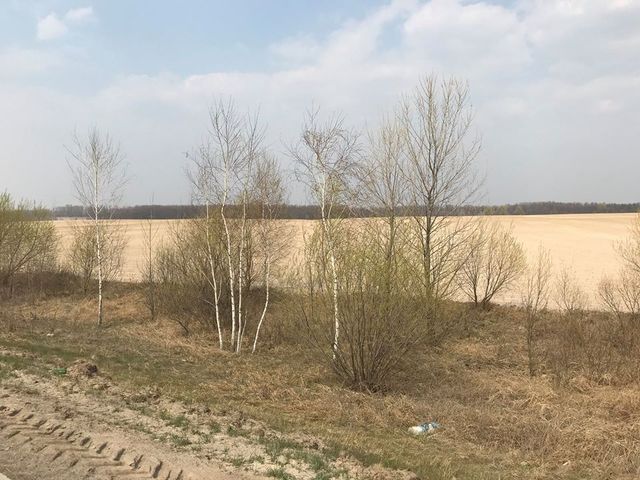 Африканська пустеля: наслідки піщаної бурі в Україні шокували мережу (відео) - фото 399442