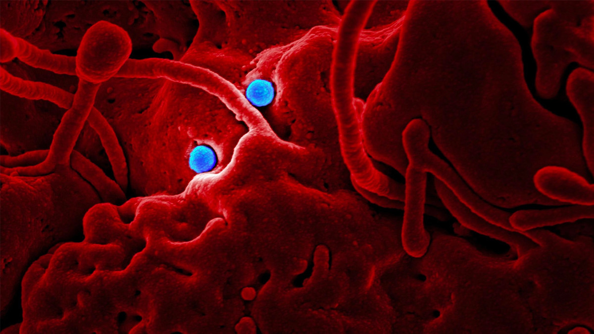 Учені розповіли про найпоширеніший шлях зараження коронавірусом - фото 1