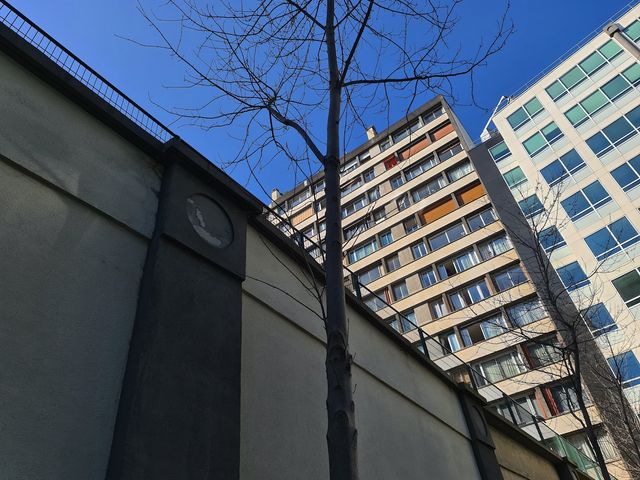 Експерти DxOMark оцінили камеру Samsung Galaxy S20 Ultra: результати вражають? - фото 399551