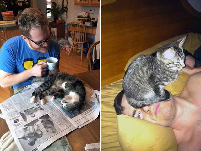 Домашні улюбленці, які не знають про особистий простір: епічні фото - фото 399680